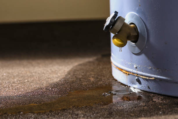 Sewage cleanup and water damage restoration in TN