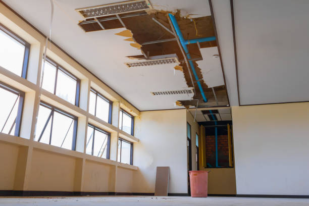 Best Water damage repair service  in Etowah, TN