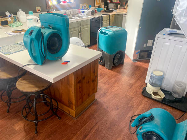 Best Emergency water damage restoration  in Etowah, TN
