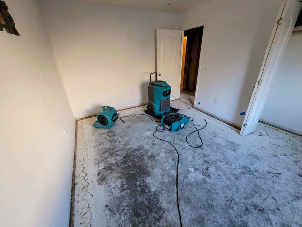 Best Flood damage cleanup  in Etowah, TN