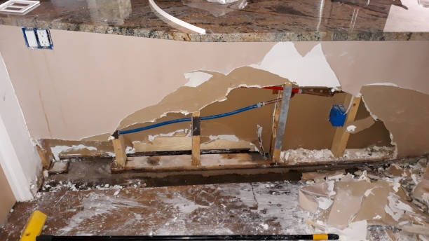 Best Residential water damage restoration  in Etowah, TN