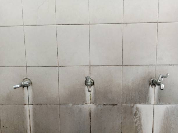 Water damage restoration mold remediation in TN