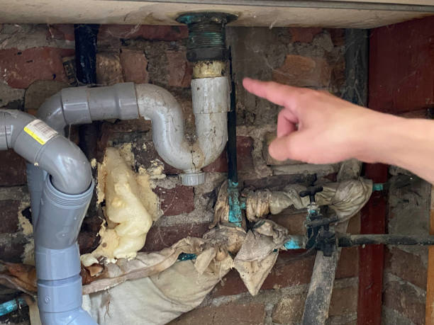 Best Sewage cleanup and water damage restoration  in Etowah, TN