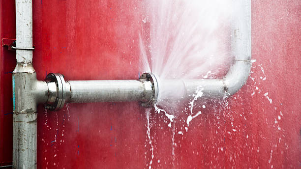 Best Professional water damage repair  in Etowah, TN